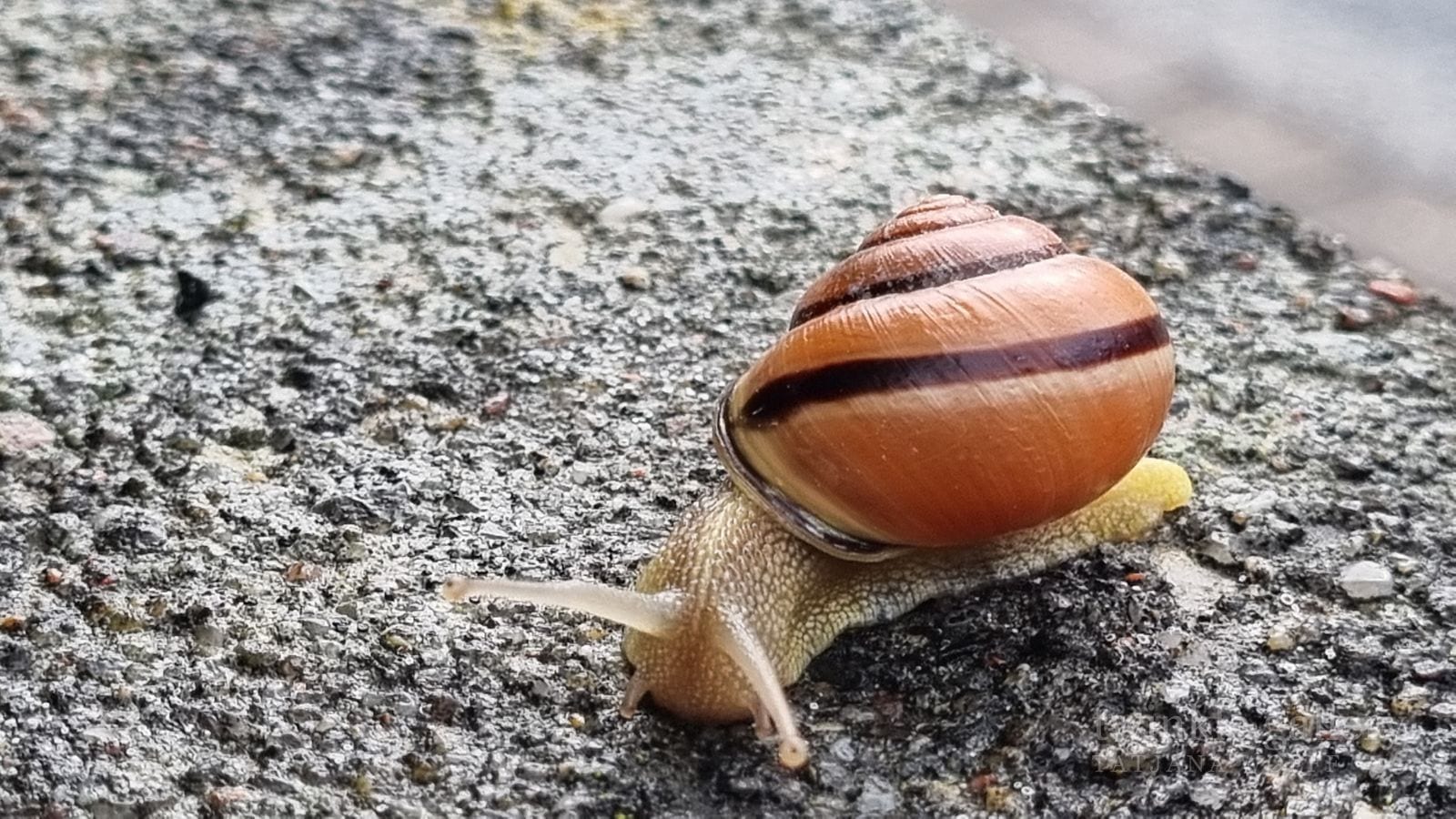 naturfotografie fotografie kunstdrucke