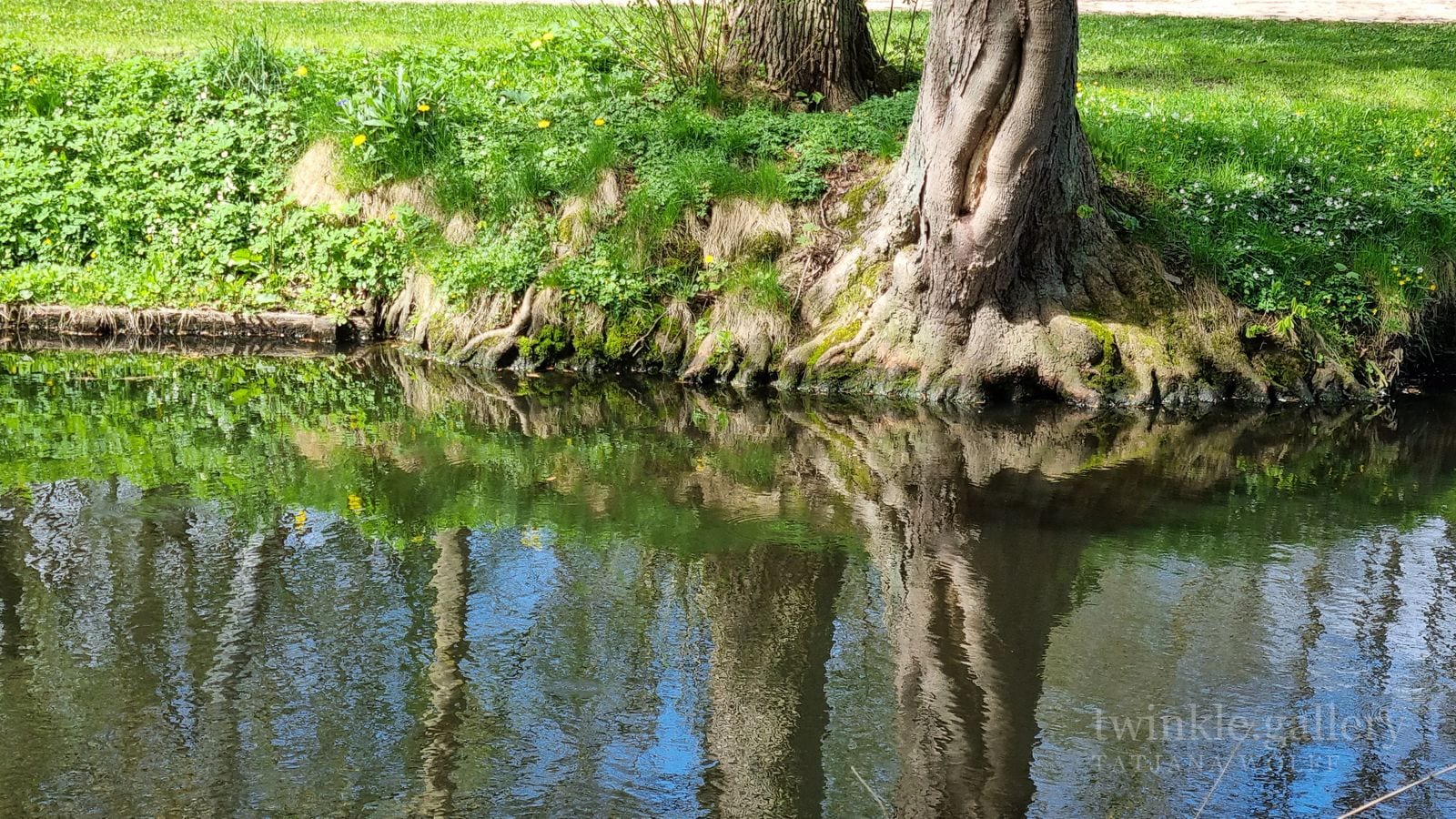 naturfotografie fotografie kunstdrucke