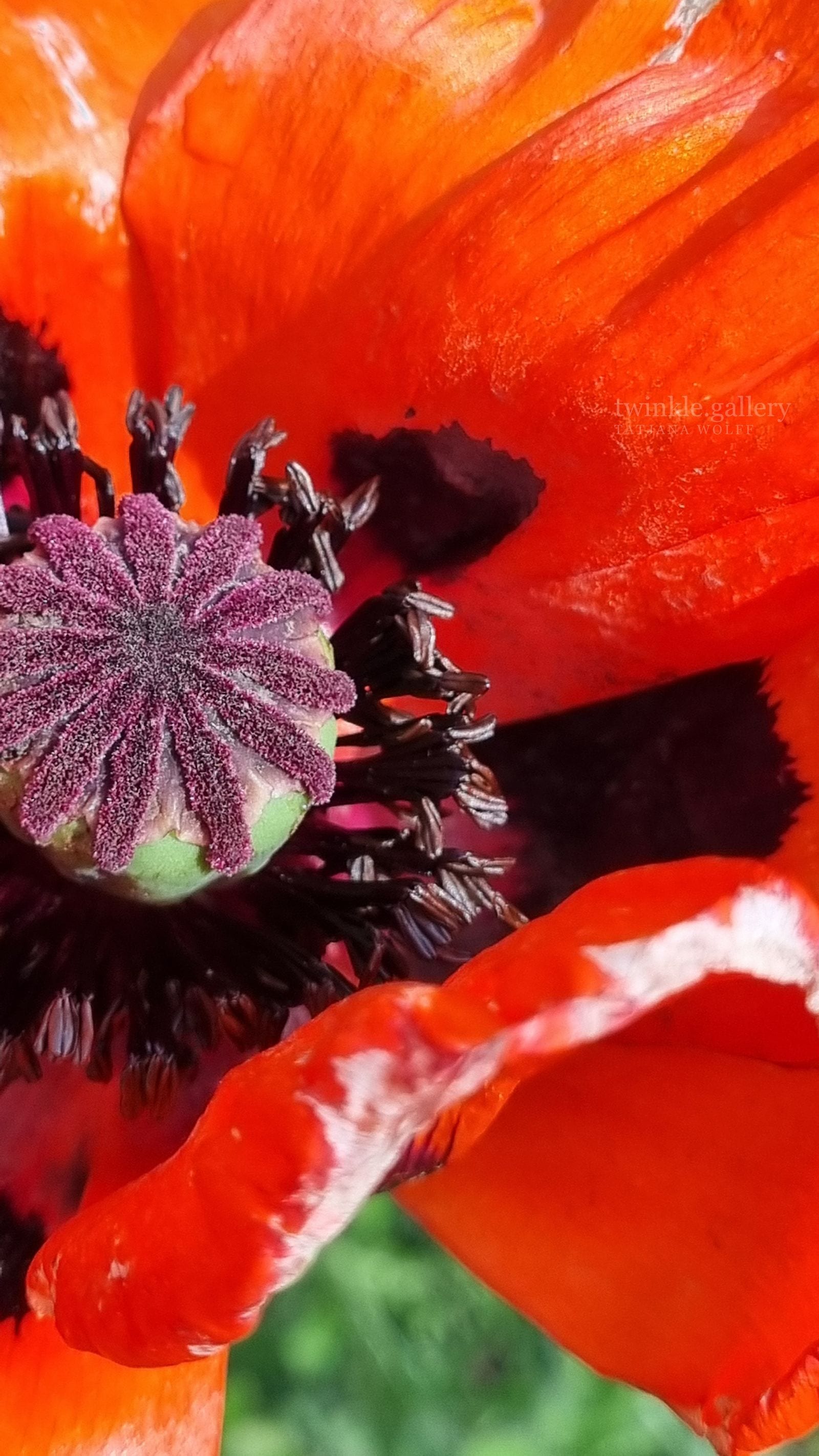 naturfotografie fotografie kunstdrucke