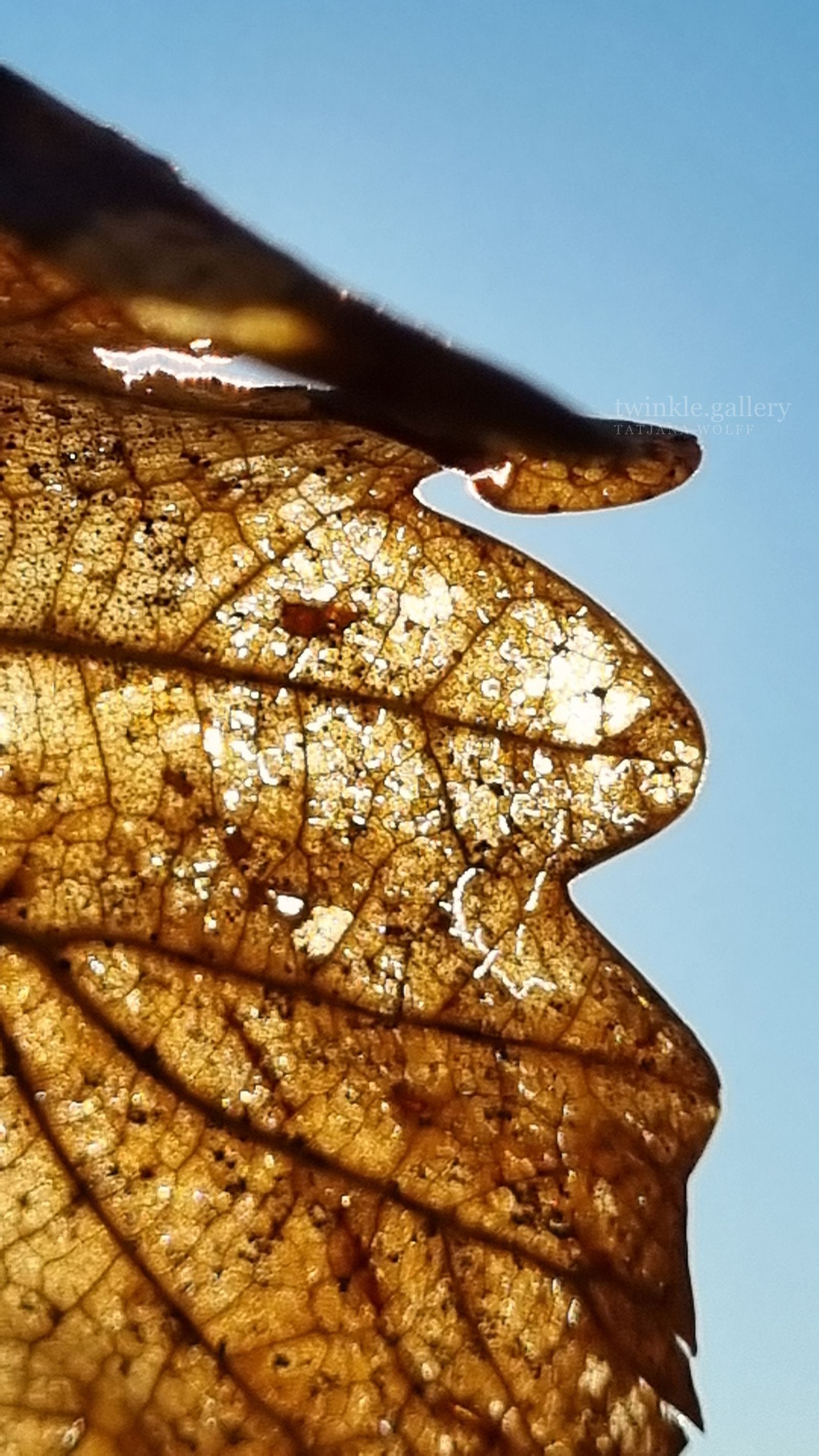 naturfotografie fotografie kunstdrucke