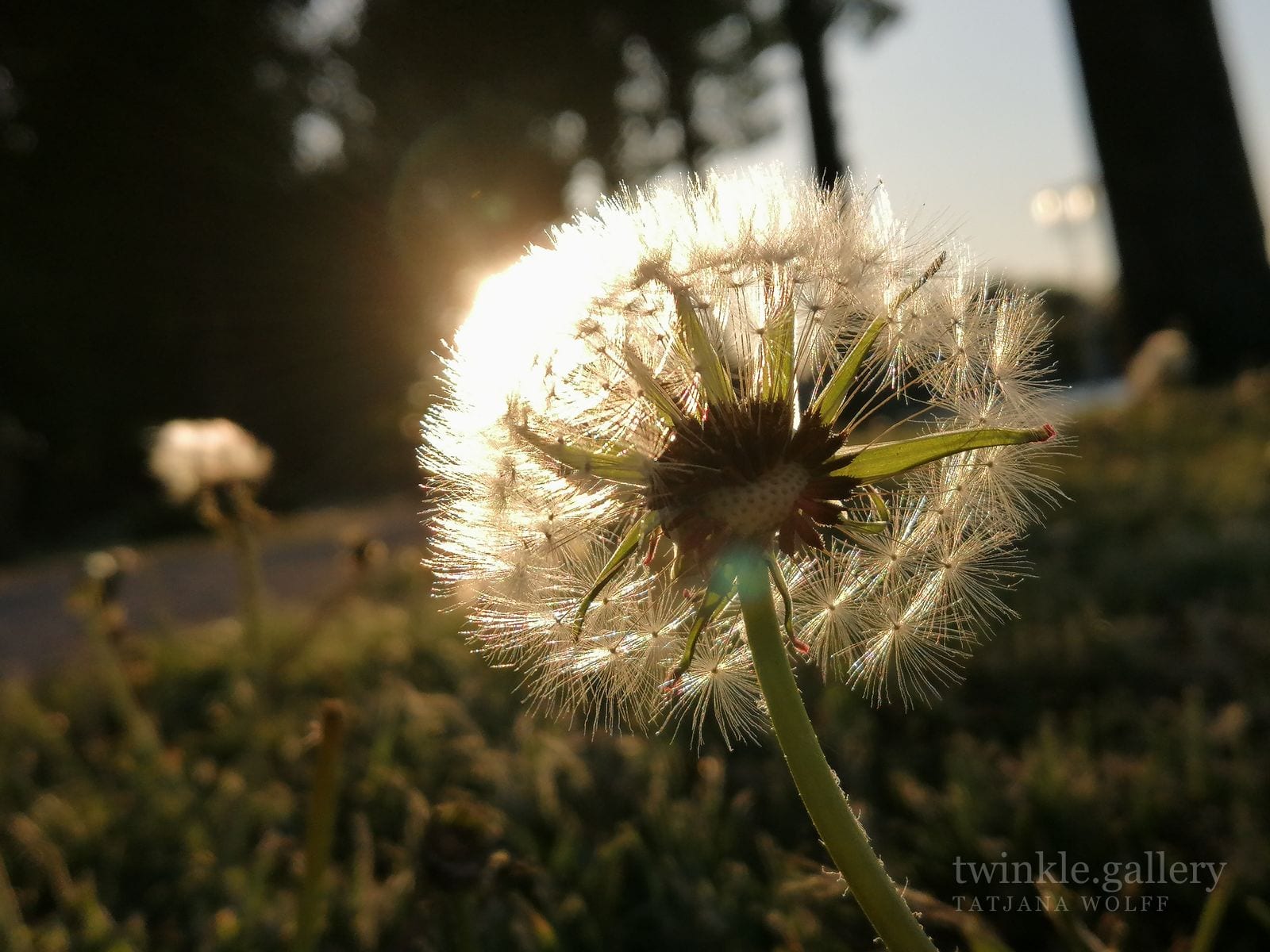 naturfotografie fotografie kunstdrucke