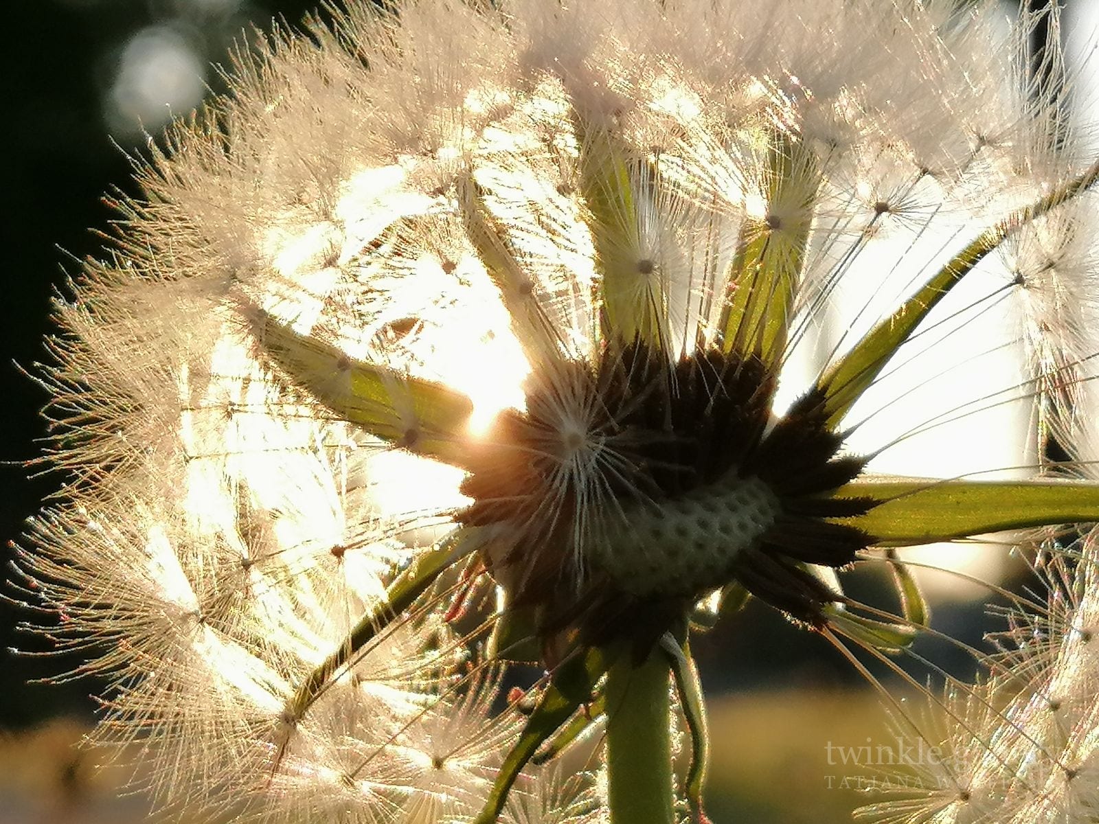 naturfotografie fotografie kunstdrucke