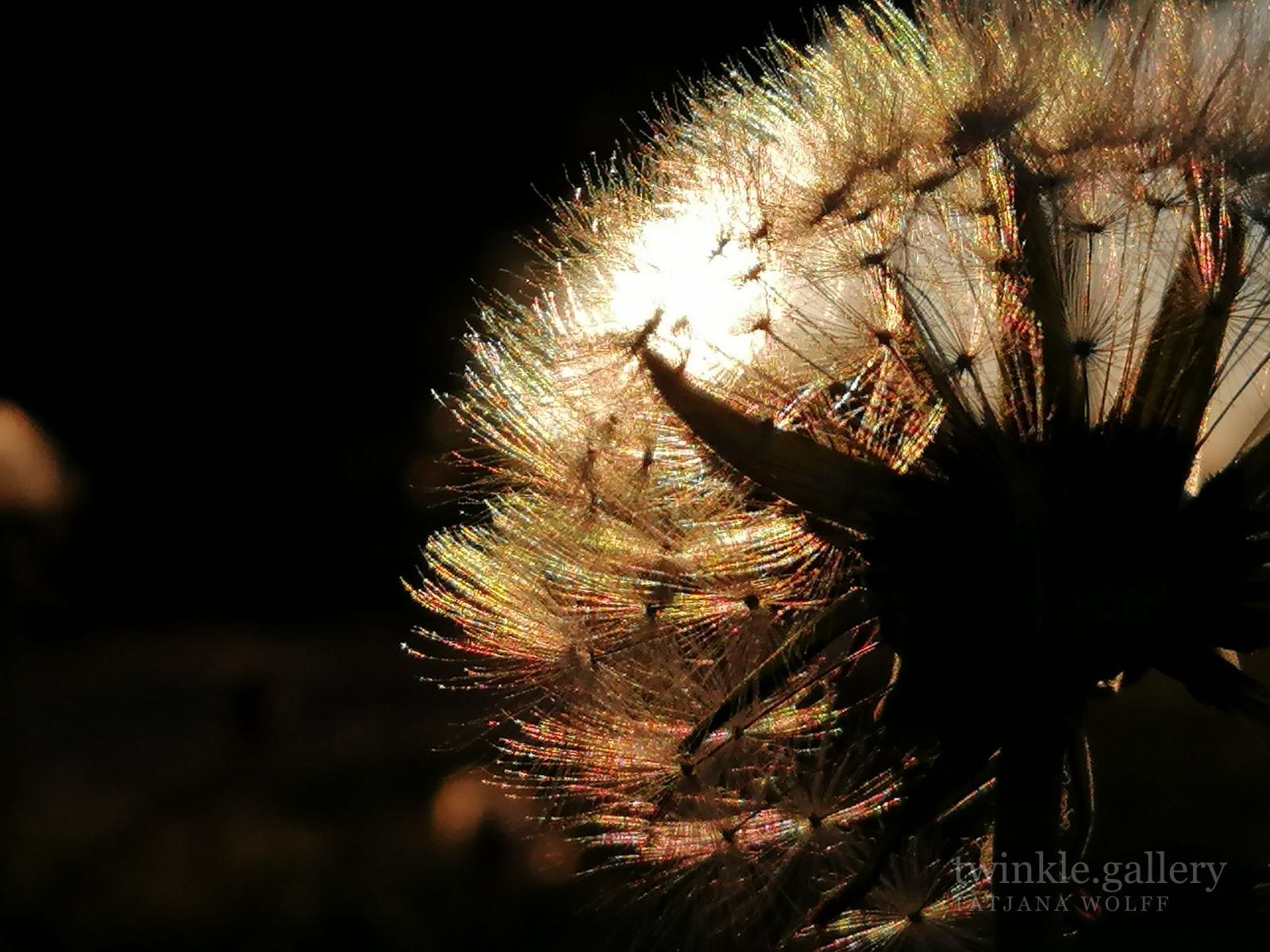 naturfotografie fotografie kunstdrucke