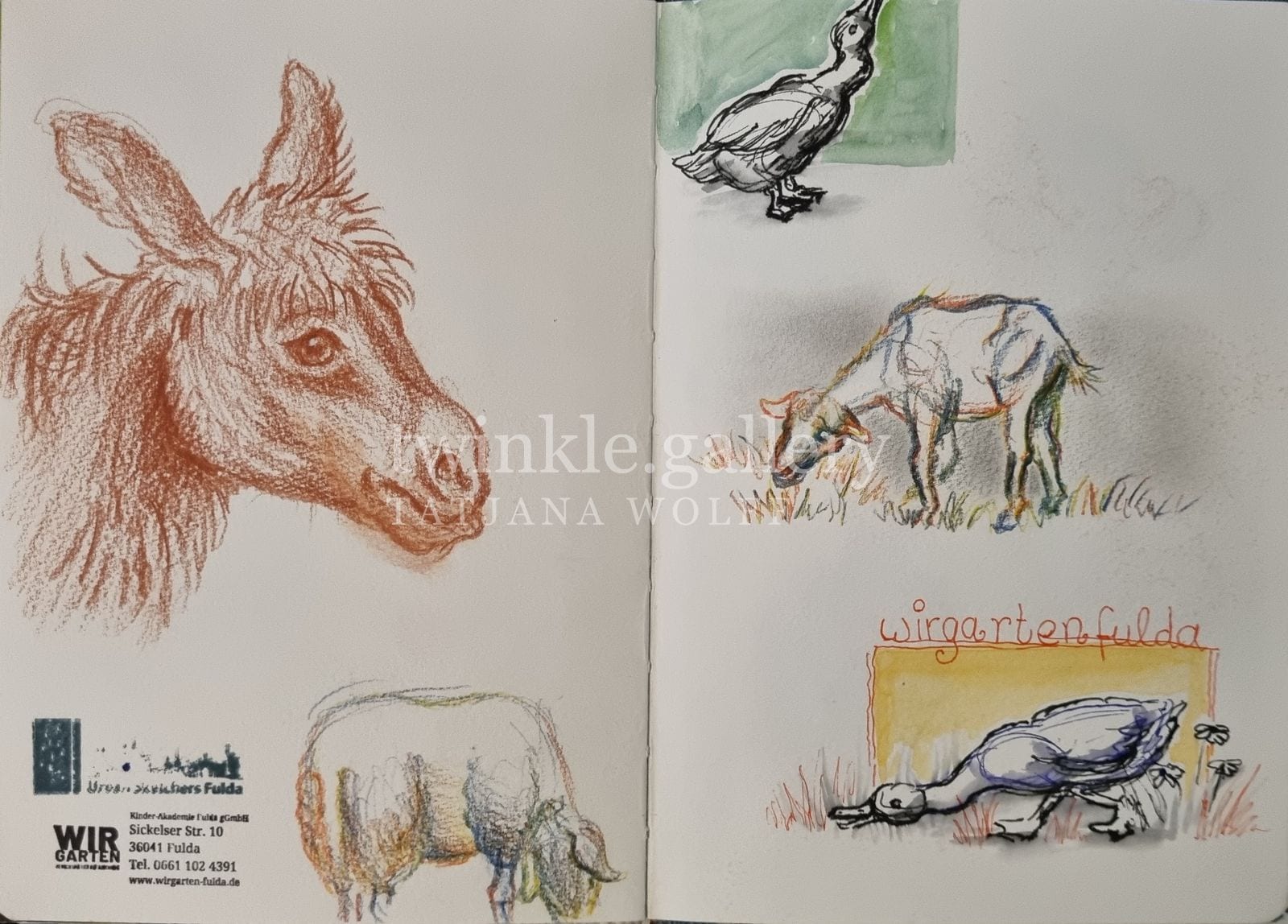 usk wirgarten fd – Urban Sketching